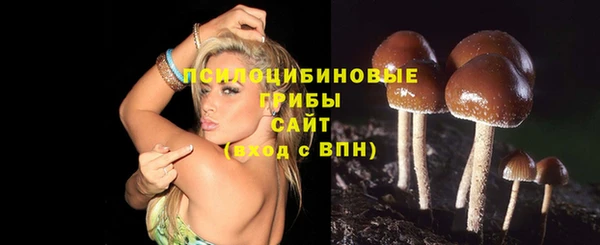 круглые Алзамай