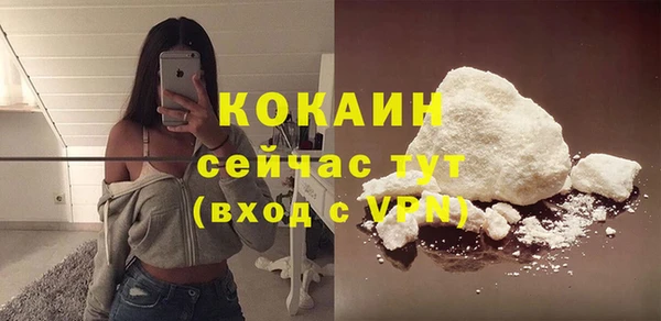 твердый Магас